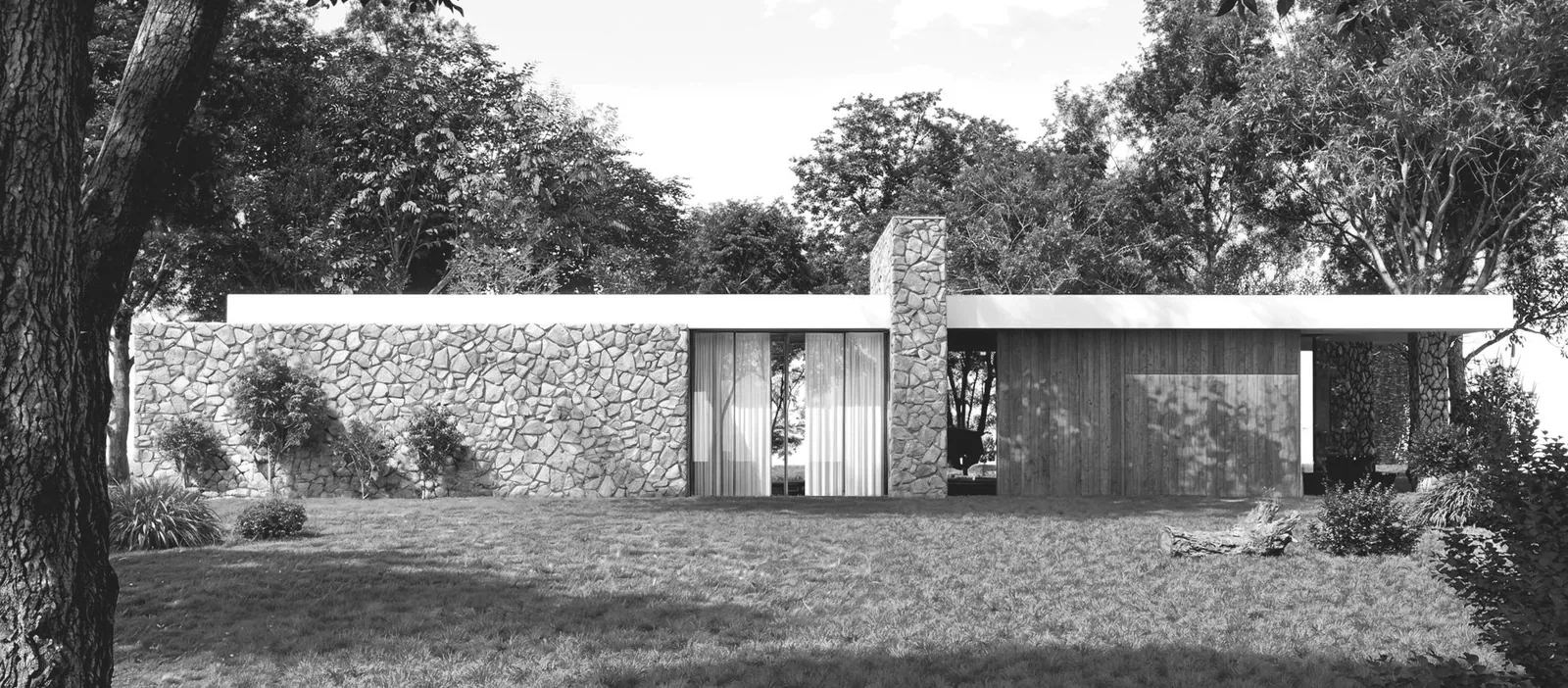 Modern villa set among trees
